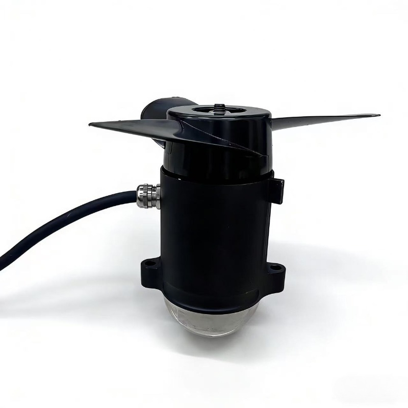 800W 12V 24V  Brushless Motor  - Fishing Boat Paddle ulasan dan harga